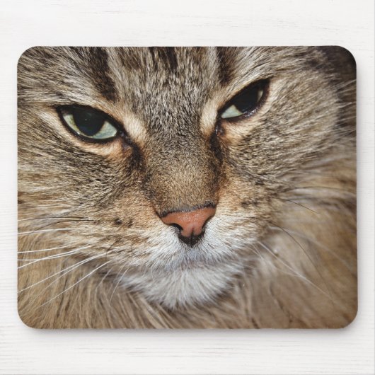 Maine Coon Cat Macro Mousepad (Vorne)