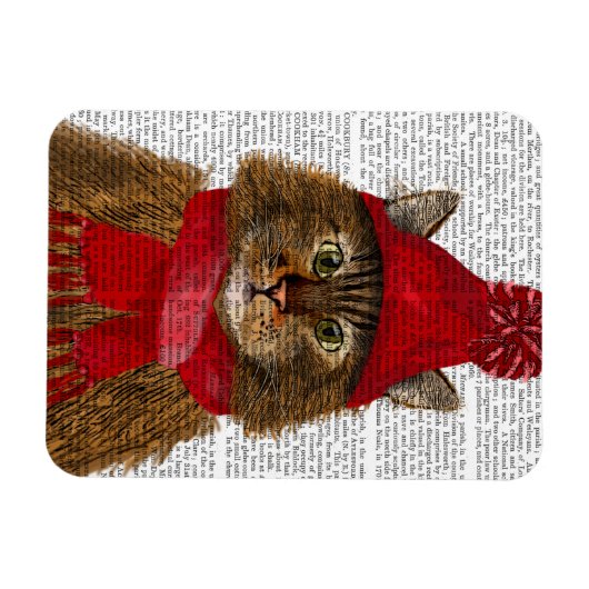 Maine Coon Cat Magnet (Horizontal)