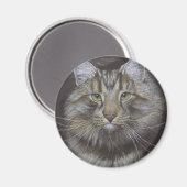 Maine Coon Cat Magnet (Vorderseite/Rückseite)