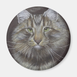 Maine Coon Cat Magnet