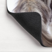 Maine Coon cat Mousepad (Ecke)