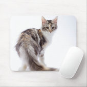 Maine Coon cat Mousepad (Mit Mouse)