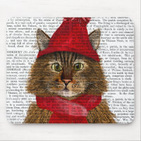 Maine Coon Cat