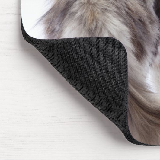Maine Coon cat Mousepad (Ecke)