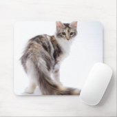 Maine Coon cat Mousepad (Mit Mouse)