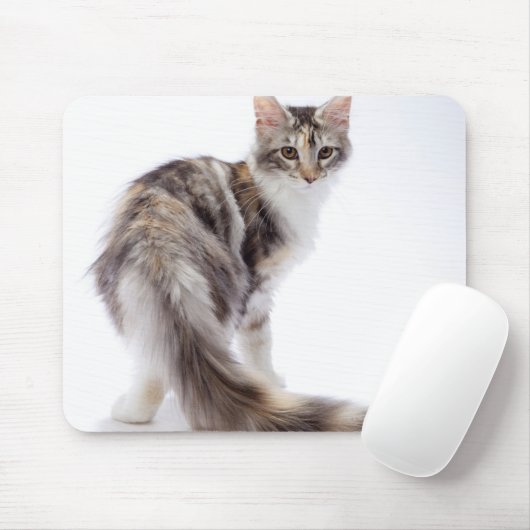 Maine Coon cat Mousepad (Mit Mouse)