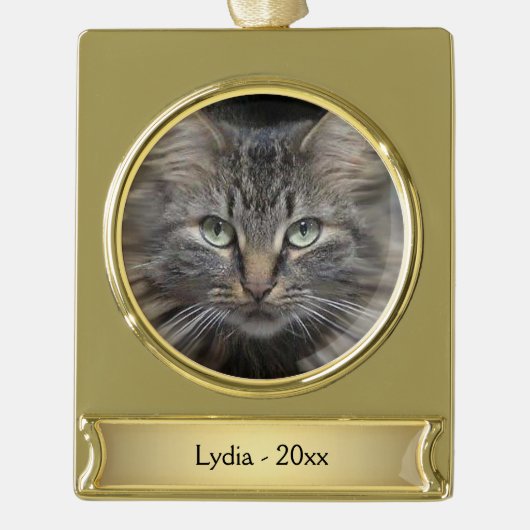 Maine Coon Cat Name und Jahr Banner-Ornament Gold (Vorderseite)