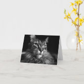 Maine Coon Cat notecard 4 x 5,6 Karte (Gelbe Blume)