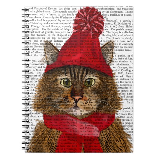 Maine Coon Cat Notizblock (Vorderseite)