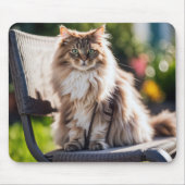 Maine Coon Cat on Chair Mousepad (Vorne)