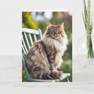 Maine Coon Cat On Sessel für Geburtstag Karte
