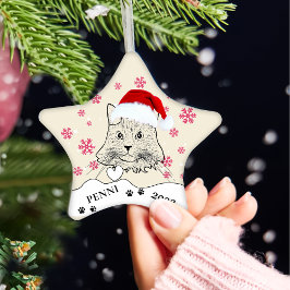 Maine Coon Cat Personalisiert Hand Zeichnend Keramik Ornament