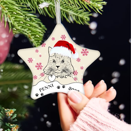 Maine Coon Cat Personalisiert Hand Zeichnend Keramik Ornament