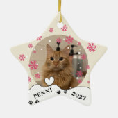 Maine Coon Cat Personalisiert Hand Zeichnend Keramik Ornament (Hinten)