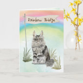 Maine Coon Cat Pet Beileid über Rainbow Bridge Karte (Gelbe Blume)