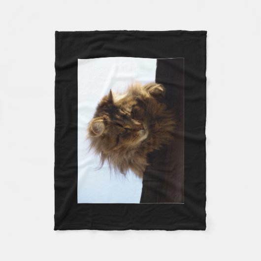 Maine Coon Cat Pet Fleecedecke (Vorderseite)