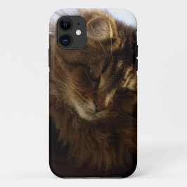 Maine Coon Cat Pet Phone Case