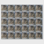 Maine Coon Cat Portrait Wrapping Paper Geschenkpapier (Flach)