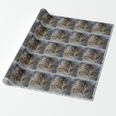 Maine Coon Cat Portrait Wrapping Paper Geschenkpapier (Ungerollt)