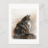 Maine Coon Cat Postcard Postkarte (Vorderseite)