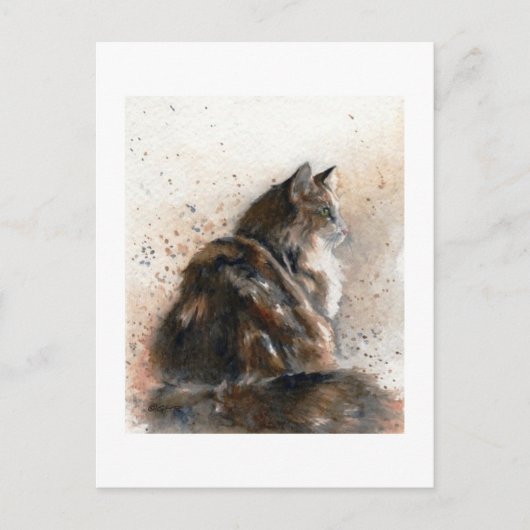 Maine Coon Cat Postcard Postkarte (Vorderseite)