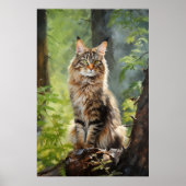 Maine Coon cat Poster (Vorne)