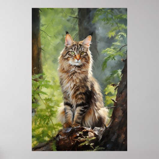 Maine Coon cat Poster (Vorne)