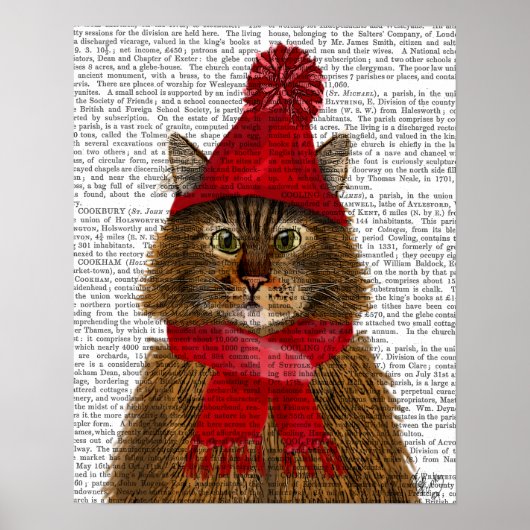 Maine Coon Cat Poster (Vorne)