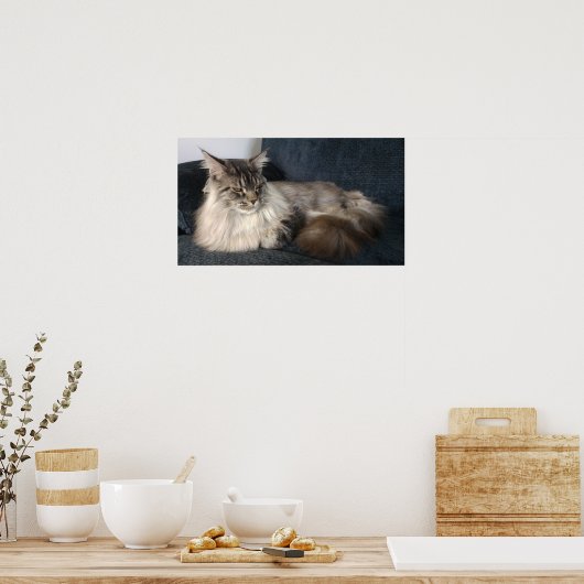 Maine Coon Cat Poster (Küche)