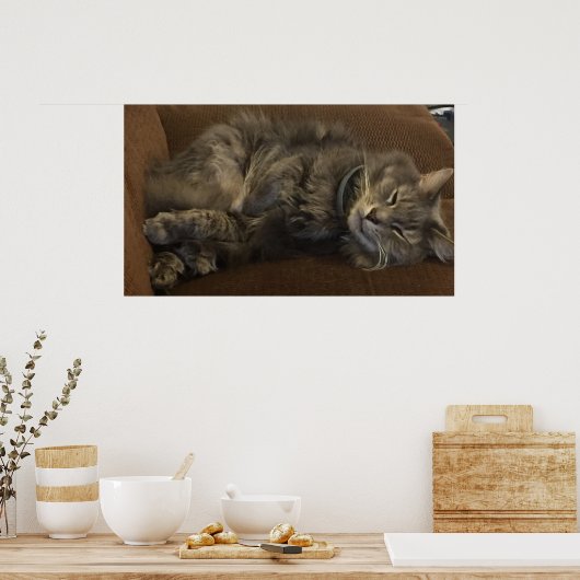 Maine Coon Cat Poster (Küche)