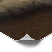 Maine Coon Cat Poster (Ecke)