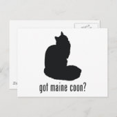 Maine Coon Cat Postkarte (Vorne/Hinten)
