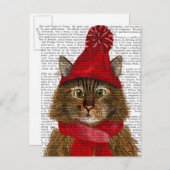 Maine Coon Cat Postkarte (Vorne/Hinten)