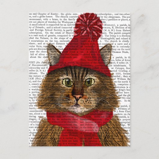 Maine Coon Cat Postkarte (Vorderseite)