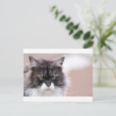 Maine Coon Cat Postkarte (Stehend Vorderseite)