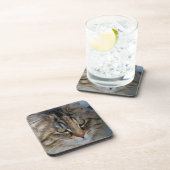 Maine Coon cat Potrait Untersetzer (Rechte Seite)