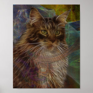 Maine Coon Cat - Rechteckige Kunst Poster