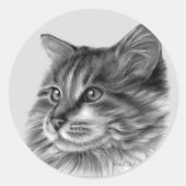 Maine Coon Cat Runder Aufkleber (Vorderseite)