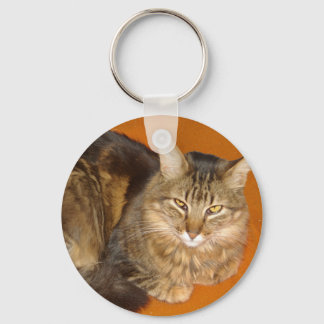 Maine Coon Cat Schlüsselanhänger