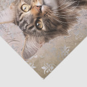 Maine Coon Cat Seidenpapier (Detail)