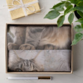 Maine Coon Cat Seidenpapier (Geschenk)