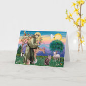 Maine Coon Cat - St Francis Karte (Gelbe Blume)