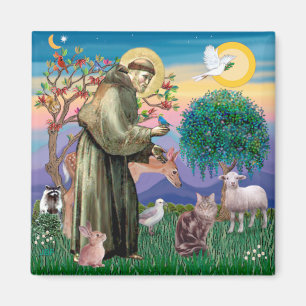 Maine Coon Cat - St. Francis Magnet