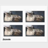 Maine Coon Cat Stickers (Blatt)