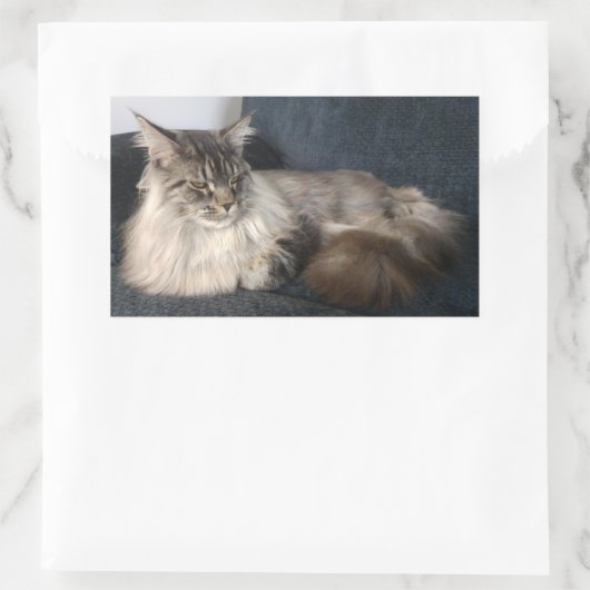 Maine Coon Cat Stickers (Tasche)