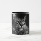 Maine Coon Cat Tasse (Zentrum)