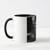 Maine Coon Cat Tasse (Links)