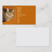 Maine Coon Cat Visitenkarte (Vorne/Hinten)