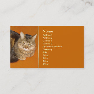 Maine Coon Cat Visitenkarte