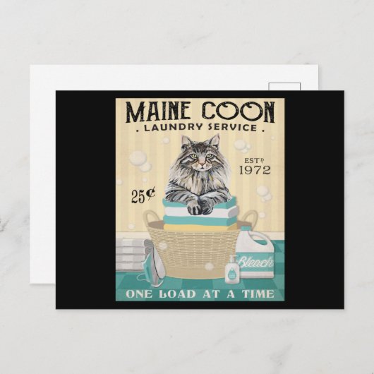 Maine Coon Cat Wäsche Company 2 Postkarte (Vorne/Hinten)